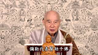 2014淨土大經科註第四回 077 字幕新版 淨空法師