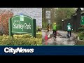 Vancouver Park Board votes to remove Stanley Park bike lane