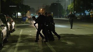 Panorama City, Los Angeles, CA: Grand Theft Auto Suspect in Custody After Running From Police