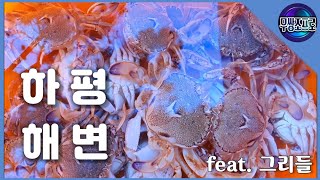 원투낚시 / 동해 / 하평해변 / 바다낚시 / 도다리 / 깨다시꽃게