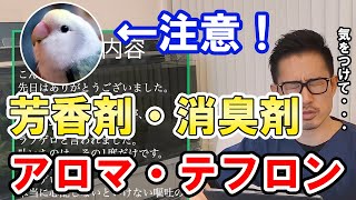 【質問コーナー】オカメインコさんにヤクルト、チワワにワクチンのの副作用が強く出る、オカメルチノーの脂肪肝、インコにアロマ・テフロン・防虫剤などにお答えしました。