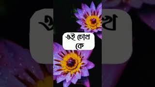 ইসলামের বাণী |