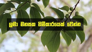 කුඩා ලමයෙක් වගේ ලෝකය දකින්න පටන් ගන්න