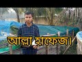 ১০ হাজার পিছ ভিয়েত কৈ মাছ চাষের লাভ লসের হিসাব।