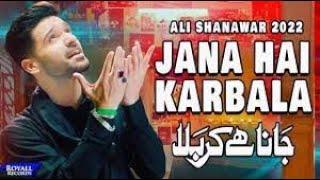 Jana Hai Karbala Slowed And Reverb |Noha | Nadeem SarWer| Slowed And Reverb Noha Lover