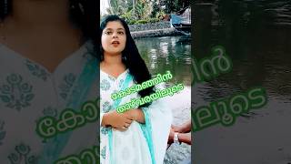 എന്തൊരു ഭംഗിയാണ് ആലപ്പുഴയ്ക്ക് അടിപൊളി #travelvlog #music #song #malayalam #familyvlog #shorts #yt