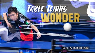 TABLE TENNIS WONDER | PANININDIGAN