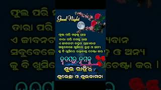 #Good Night 🌉 ଶୁଭ ରାତ୍ରୀ 🌃