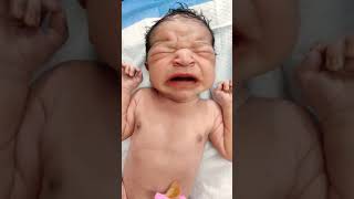 chubby baby first cry