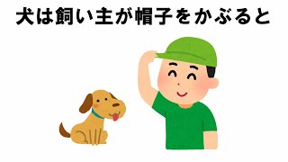 犬と飼い主との愛情表現の雑学