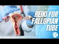 Reiki For Fallopian Tube - Natural Energy Healing