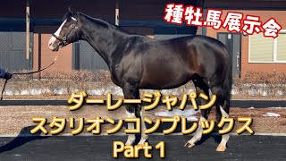 【種牡馬展示会】ダーレージャパン編 Part1 超豪華な種牡馬たち4頭をご覧ください