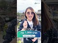 ทุน 1 000 บาทเทรดได้ไหม