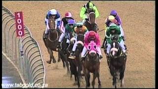 Greyville 17102014 Race 1 won by ICONIC DREAM