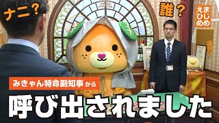 ポケット版みきゃんの防災グッズチェックリスト