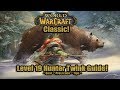 Level 19 Twink Hunter Guide! (Gear, Talents, Tips) - World of Warcraft Classic