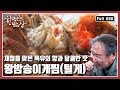 [한국인의밥상★풀버전] 꾀꼬리 노랫소리가 들려오는 남해 앵강만 사람들의 🍚밥상을 찾아간다 “바다가 묻고 산이 대답하다, 앵강만 밥상” (KBS 20170413 방송)