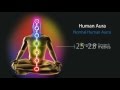 chakras hindi mov chakras hindi mov