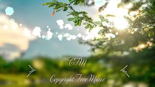 Papaya tubebackr CFM Copyright Free Music