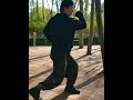 心意拳蛇形闯肘xinyi marital arts snake form elbow hit kungfu martialarts sports chinese