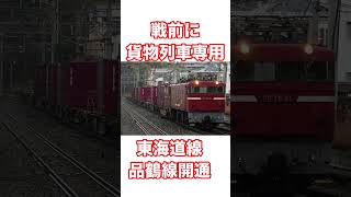 貨物線から叩き出される貨物列車