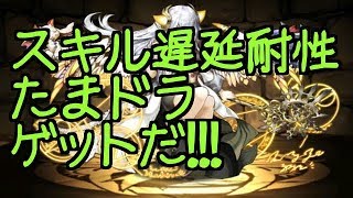 【パズドラ】超極限北欧ラッシュ　スキル遅延耐性たまドラが取れるのでイデアルで行ってみた　ポンコツパズル