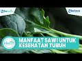 Kandungan Nutrisi Sawi Bagus untuk Mencegah Kanker dan Turunkan Kolesterol, Ini Manfaat untuk Tubuh