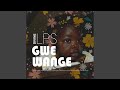 Gwe Wange