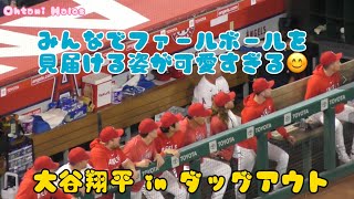 みんなでファールボールを見届ける姿が可愛すぎる💕【大谷翔平インダグアウト】#大谷翔平現地映像 #野球  #エンゼルス #モニアック