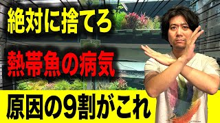 【お店では教えない】熱帯魚が病気になる危険すぎる餌の保管方法！アクアリウムin地球112