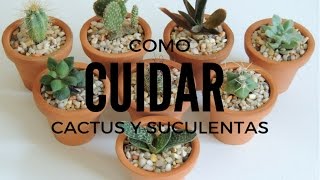 COMO CUIDAR SUCULENTAS Y CACTUS DENTRO DE CASA (HD)