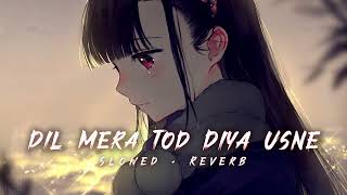 Dil Mera Tod Diya Usne ( REVERB + SLOWED ) Lofi Song // Reverb World