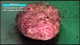 Food Cooking｜Tokuden UPSS Superheated Steam Generator