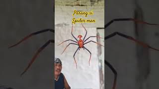 Parang SPIDER MAN!!#amazing #shorts #kuyaraultvvlog