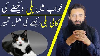 Khawab Mein Cat Dekhna||Khawab Mein Bili Dekhna||خواب میں بلی اور کالی بلی دیکھنے کی تعبیر||Dreams