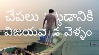 🦐We went to Vijayawada to buy fish 🦈🐠 #natural #fishing #sunday #guntur  #travel #vlog #vijayawada