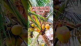 শুক্রবার জুমার দিন নবীজি দোয়া পরতে বলেছেন #trending #shortvideo #tiktok #shorts @nadiasvlog8338