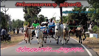 நடுமாடு - புதுக்கோட்டை மாவட்டம் -திருமயம் தாலுகா - அம்மையாபட்டி (03-06-2022) மாட்டு வண்டி பந்தயம்