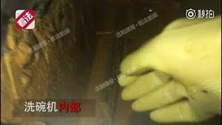 暗访海底捞老鼠爬进食品柜 火锅漏勺掏下水道