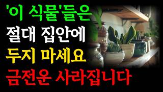 '이 식물'들은 절대 집안에 두지마세요, 금전운 사라집니다｜잘나가던 집도 휘청하는 집을 망하게 하는 흉한 식물｜재물운 돈복 인복 대운 징조