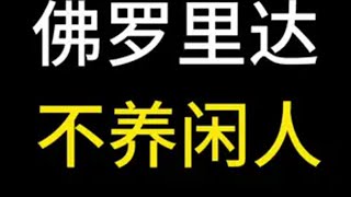 佛罗里达不养闲人合集一次性看个爽！佛罗里达州不养闲人 整活