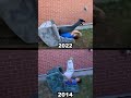 Couch Parkour Fail Redemption (side by side comparison)