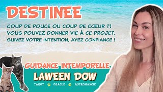 DESTINÉE |  Coup de pouce ou de cœur ? Lancer ce projet, suivre votre intuition et avoir confiance !