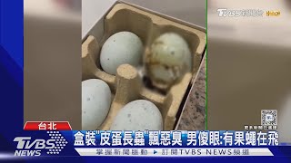 盒裝「皮蛋長蟲」飄惡臭 男傻眼:有果蠅在飛｜TVBS新聞 @TVBSNEWS01