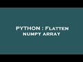 PYTHON : Flatten numpy array