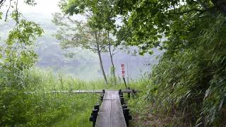 4K　苫小牧錦大沼公園(3/3)　錦小沼　Lake Nishikionuma, Tomakomai city, Hokkaido　2017/08/05