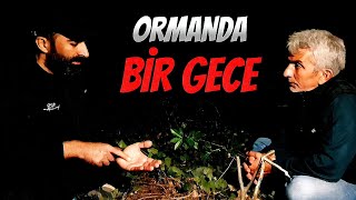 ORMAN'DA KORKUNÇ  BİR GECE GEÇİRMEK | PARANORMAL OLAYLAR