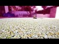 1 MILLION PIECES OF POPCORN IN POOL