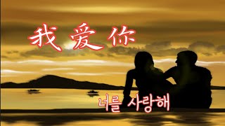 중국 노래 추천_我爱你（사랑해/워아이니)_程佳佳_가사번역