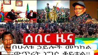 በአማራ ክልል በሰሜን ሸዋ ዞን ውስጥ የምትገኘው የሸዋ ሮቢት ከተማ ለነዋሪዎቿ ፀጥታ እና ደኅንነት ጥብቅ መመሪያዎች ካወጣች በሰዓታት ልዩነት ከንቲባዋ ተገደሉ